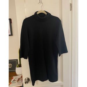Zara Turtleneck Dress